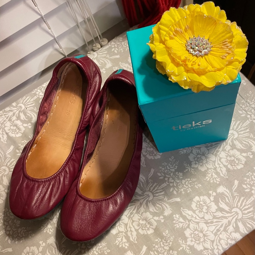 Tieks shoes